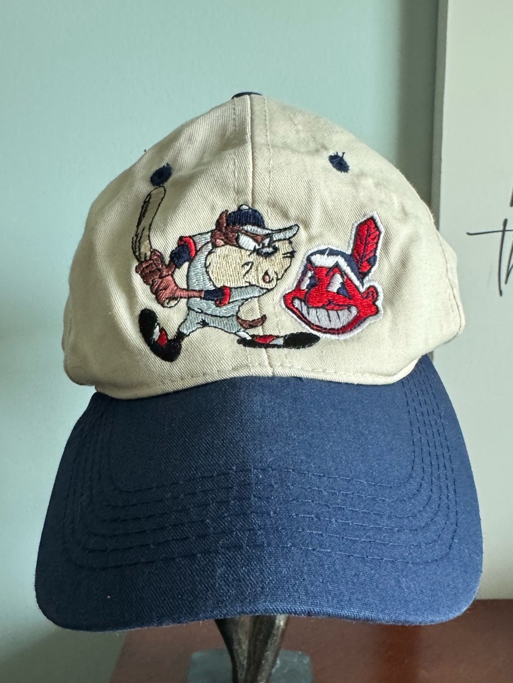Rare Vintage Tasmanian Devil/Cleveland Indians kids hat